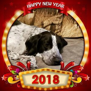 Meet your Posher, Adam chrissy